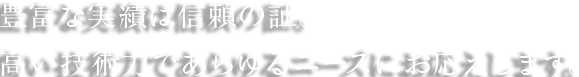 豊富な実績は信頼の証。高い技術力であらゆるニーズにお応えします。